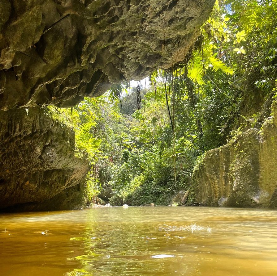 Porto Riko'da Arenales Mağaraları 